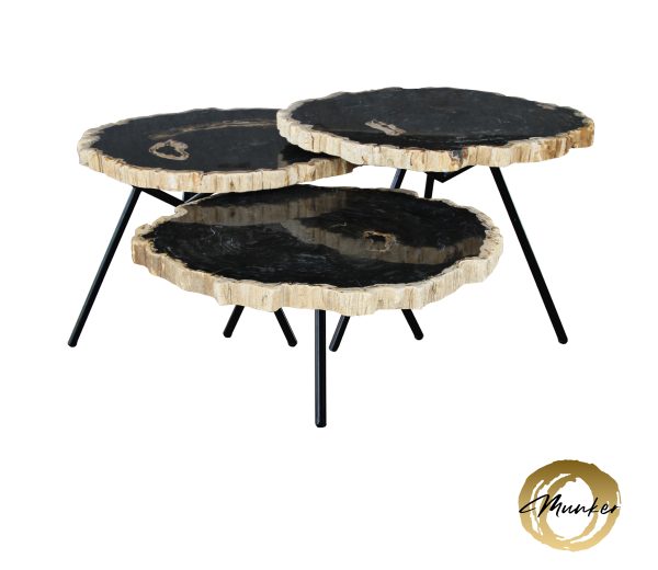 Couchtisch aus versteinertem Holz