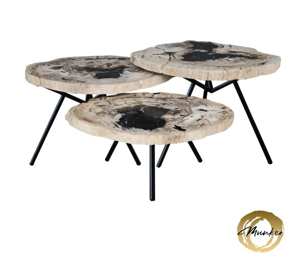 Versteend hout salontafel