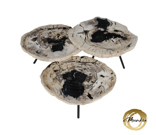 Versteend hout salontafel
