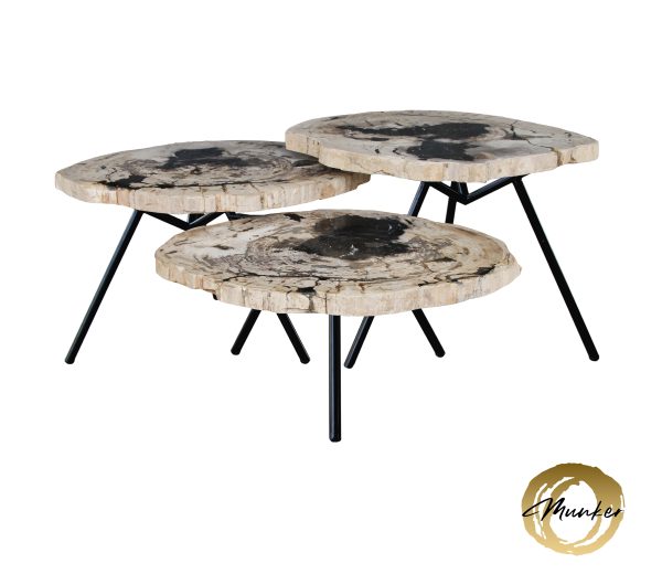 Versteend hout salontafel