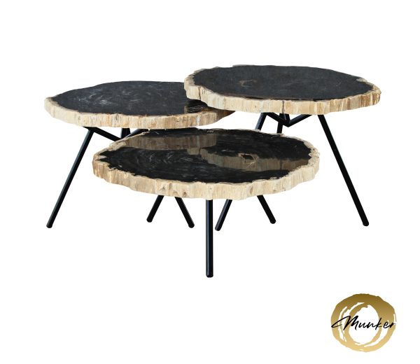 Couchtisch aus versteinertem Holz