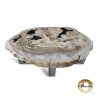Versteend hout salontafel