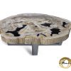 Versteend hout salontafel