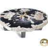 Couchtisch aus versteinertem Holz