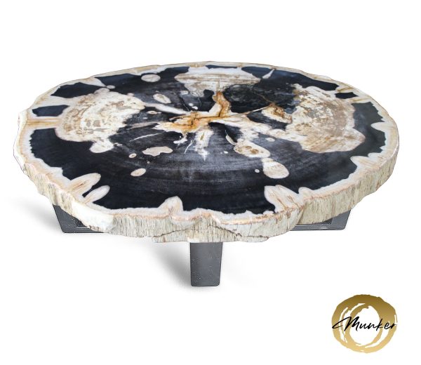 Couchtisch aus versteinertem Holz