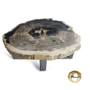 Versteend hout salontafel