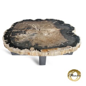 Versteend hout salontafel