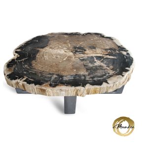 Versteend hout salontafel