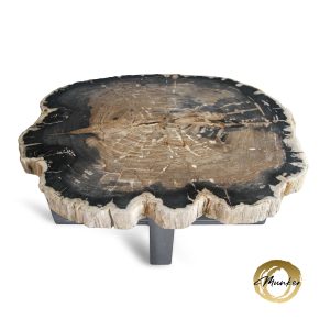 Versteend hout salontafel