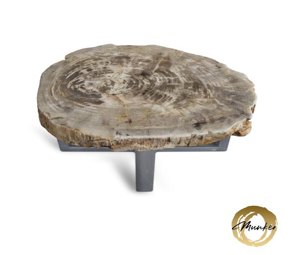 Couchtisch aus versteinertem Holz