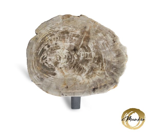 Couchtisch aus versteinertem Holz