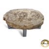 Couchtisch aus versteinertem Holz