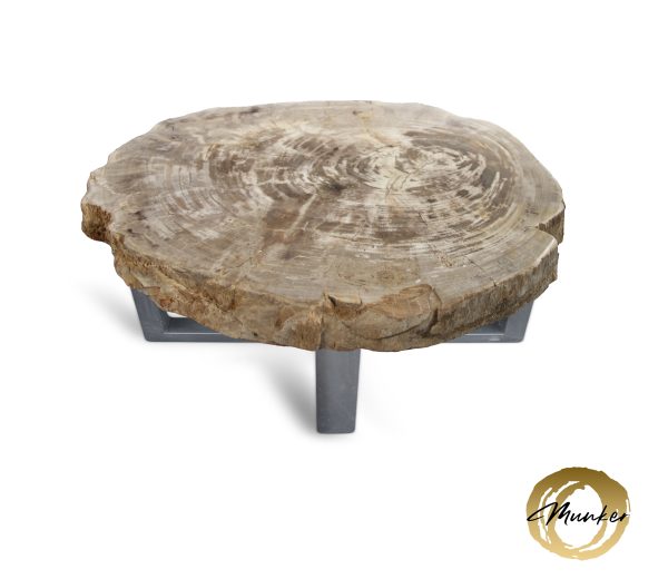 Couchtisch aus versteinertem Holz