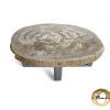 Versteend hout salontafel