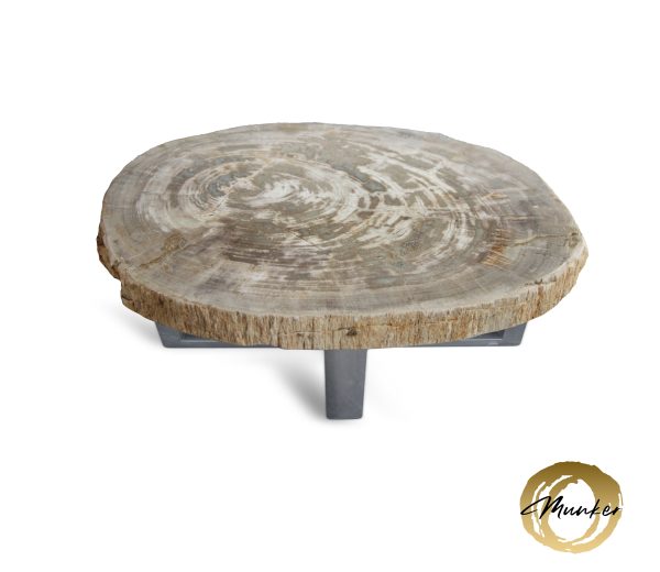Couchtisch aus versteinertem Holz