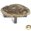 Versteend hout salontafel