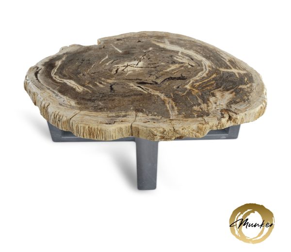 Couchtisch aus versteinertem Holz
