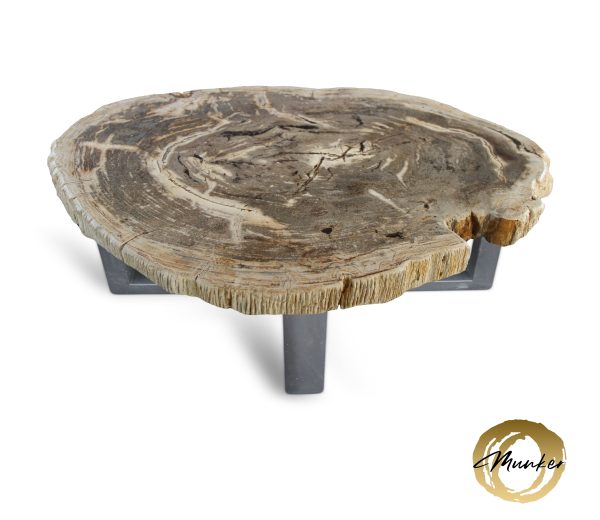 Couchtisch aus versteinertem Holz