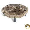 Couchtisch aus versteinertem Holz
