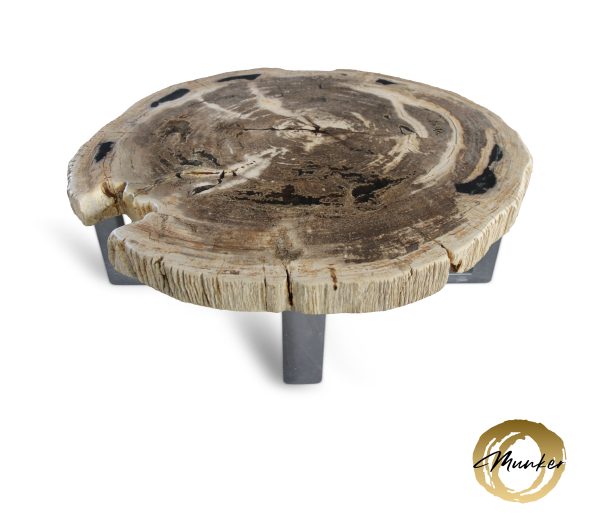 Versteend hout salontafel