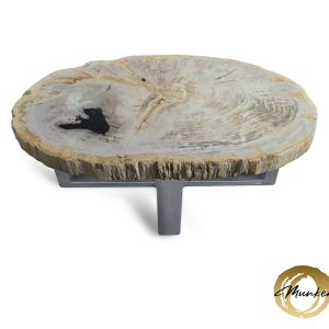 Versteend hout salontafel