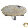 Versteend hout salontafel