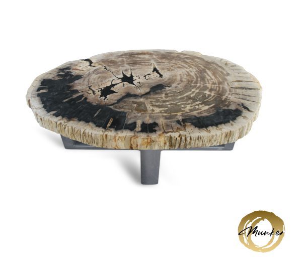Couchtisch aus versteinertem Holz