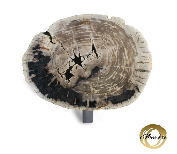 Couchtisch aus versteinertem Holz