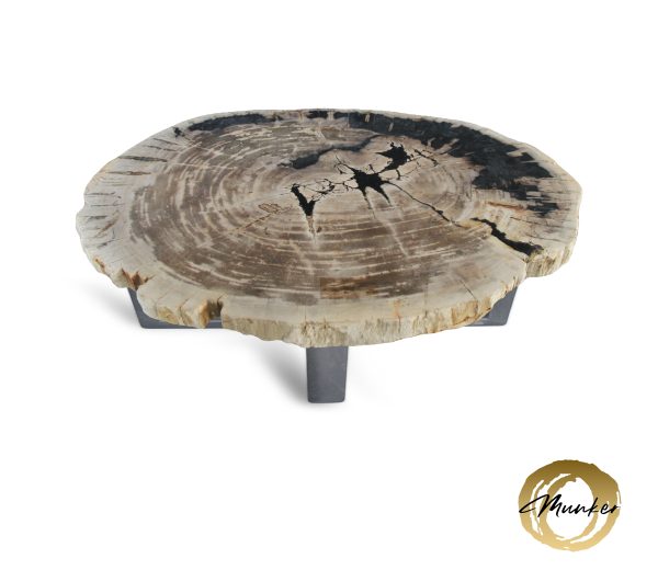 Couchtisch aus versteinertem Holz