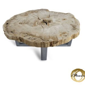 Versteend hout salontafel