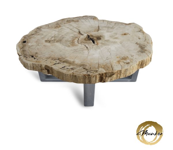 Couchtisch aus versteinertem Holz