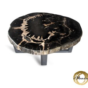 Versteend hout salontafel