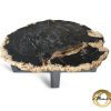 Versteend hout salontafel