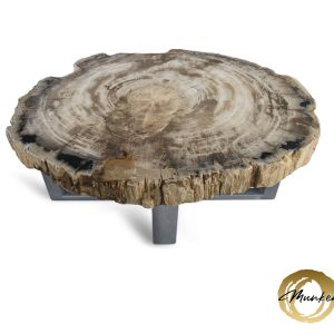 Versteend hout salontafel