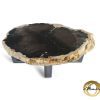 Versteend hout salontafel