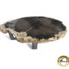 Versteend hout salontafel