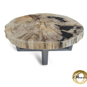 Versteend hout salontafel