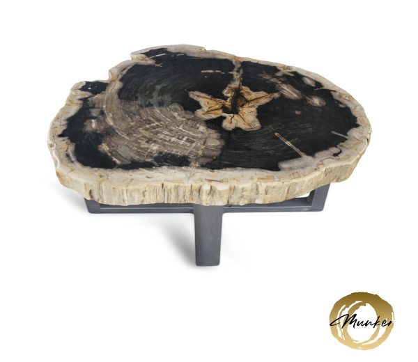 Couchtisch aus versteinertem Holz