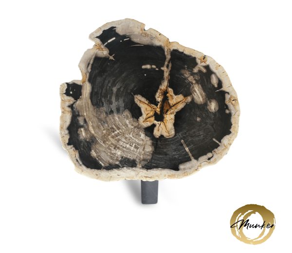 Couchtisch aus versteinertem Holz