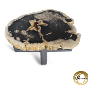 Versteend hout salontafel