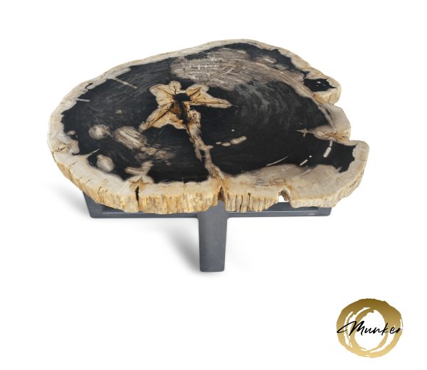Couchtisch aus versteinertem Holz