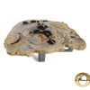 Versteend hout salontafel