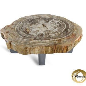 Versteend hout salontafel