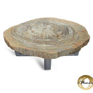 Versteend hout salontafel