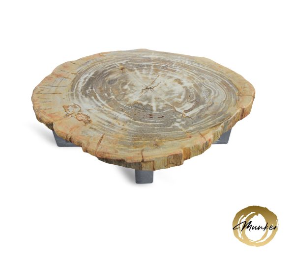 Couchtisch aus versteinertem Holz