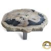 Couchtisch aus versteinertem Holz