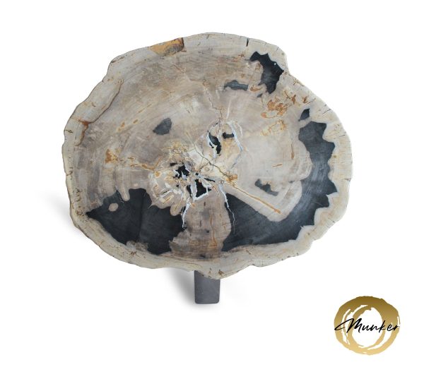 Couchtisch aus versteinertem Holz