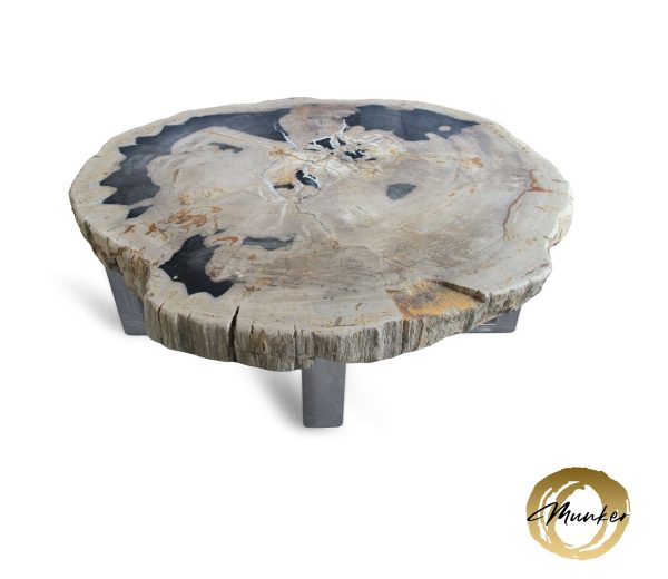 Couchtisch aus versteinertem Holz