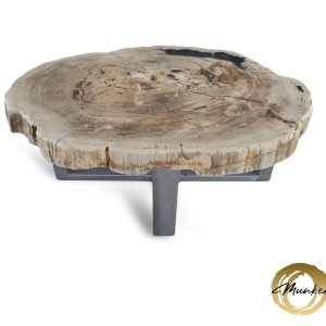 Versteend hout salontafel
