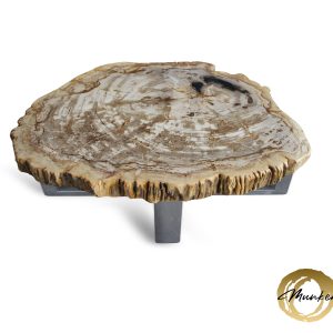 Versteend hout salontafel